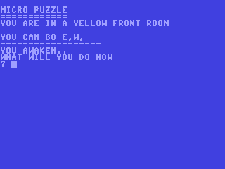 Micro Puzzle — ss (WOR)