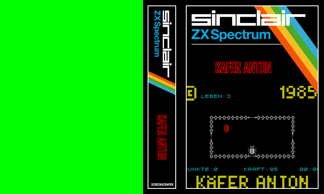 Kafer Anton — box-texture (SS)