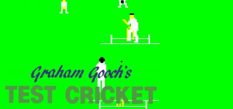 Graham Gooch's Test Cricket — steamgrid