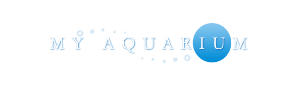 My Aquarium — wheel (WOR)