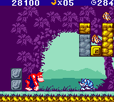 Donkey Kong 5 — ss (TW)