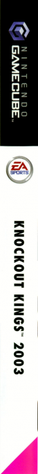 Knockout Kings 2003 — box-2D-side (FR)