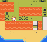 TUNIC — ss (WOR)