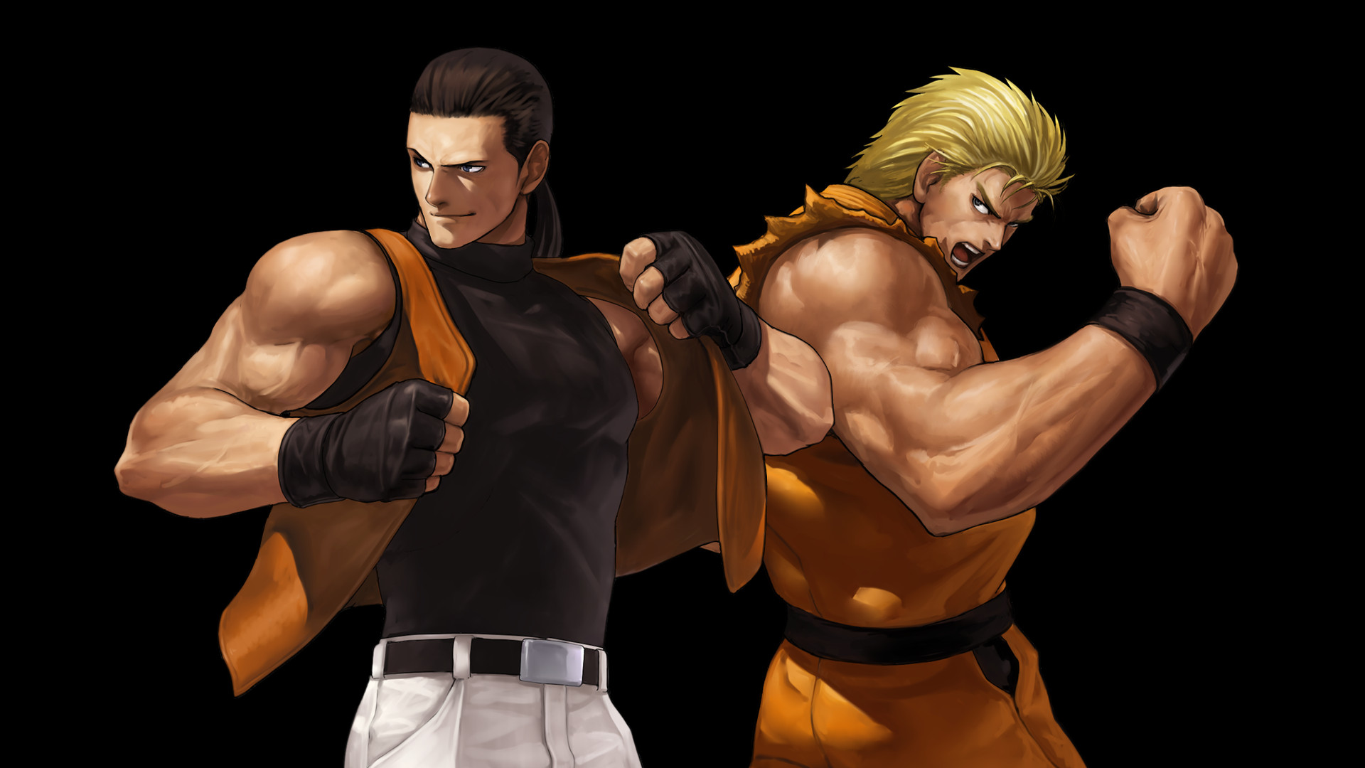 Aca Neogeo Art Of Fighting — fanart