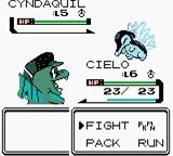Pokemon - Fool's Gold — ss (WOR)