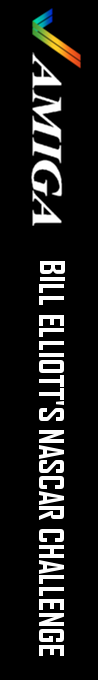 Bill Elliott's NASCAR Challenge — box-2D-side (WOR)