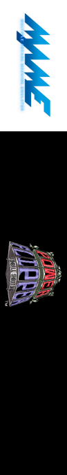 Power Flipper Pinball Shooting V1.33 — box-2D-side (WOR)