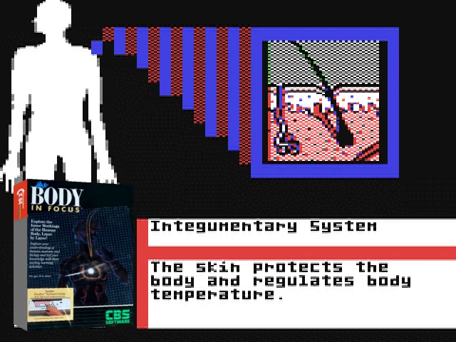 The Body In Focus — mixrbv2 (EU)