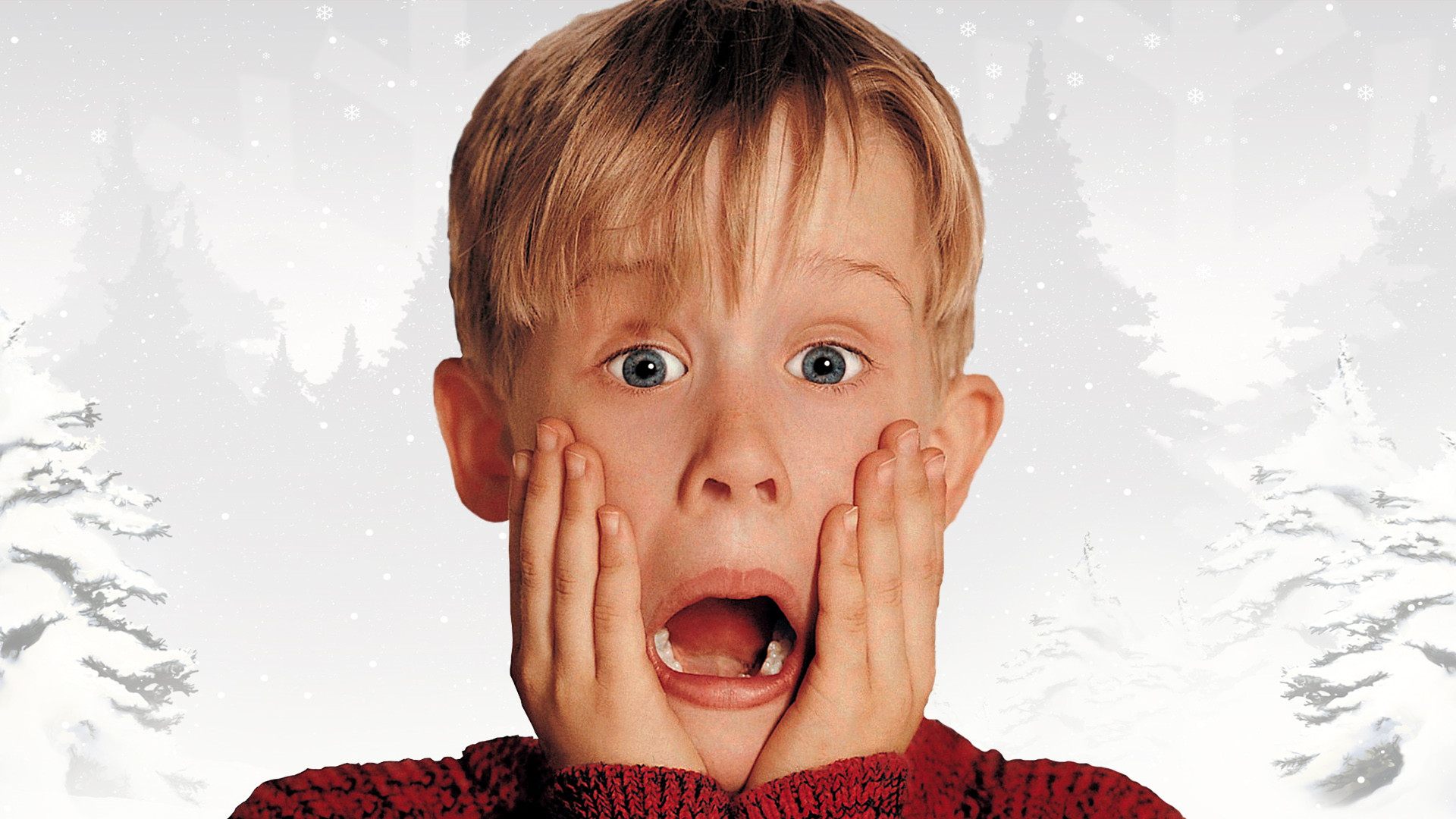 Home Alone — fanart