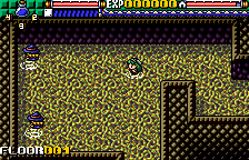 DicingKnight Legion — ss (WOR)