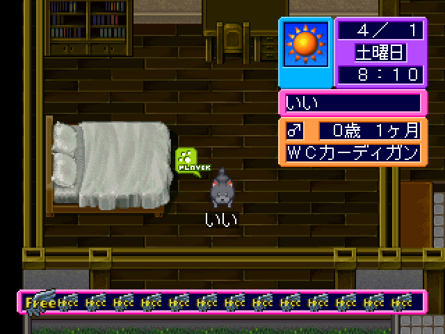 Motto! Nyan to Wonderful 2 — ss (JP)