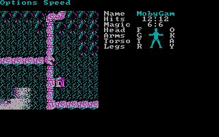 Phantasie 3 - The Wrath Of Nikademus — ss (US)
