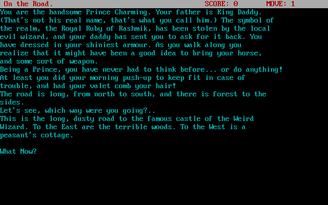 Wizard's Castle, The — ss (WOR)