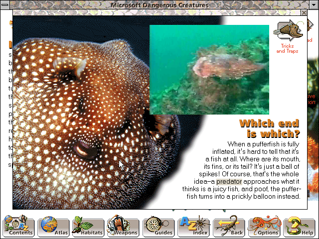 Microsoft Dangerous Creatures — ss (WOR)