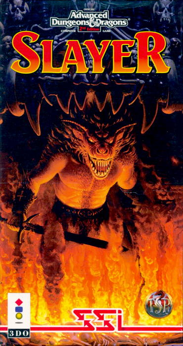 Lost Dungeon box art