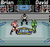 Wrestling Madness — ss (JP)