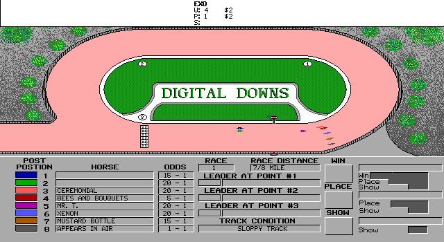 Digital Downs — ss (WOR)