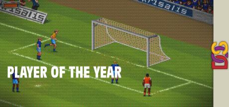 Player of the Year — steamgrid