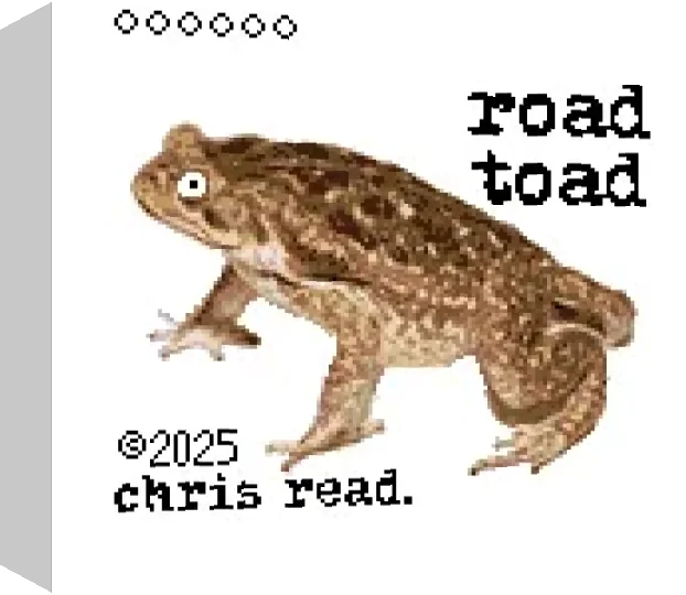 Road Toad — box-3D (WOR)