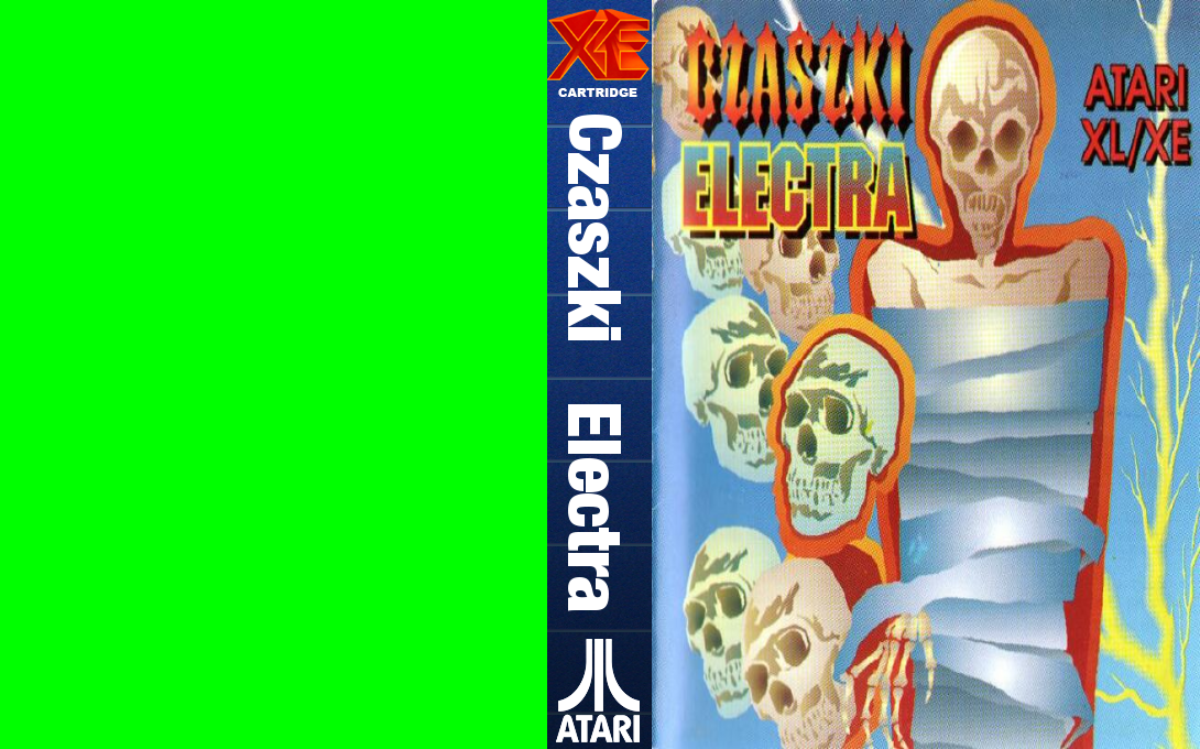 Czaszki Electra — box-texture (WOR)