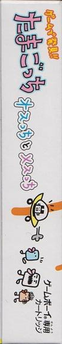Game de Hakken!! Tamagotchi - Osutchi to Mesutchi — box-2D-side (JP)