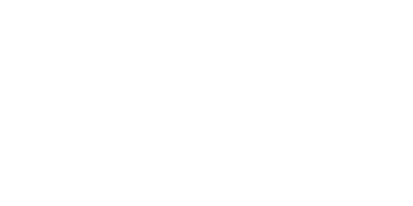SRogue — wheel-hd (WOR)