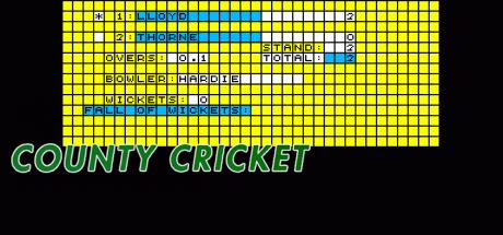 County Cricket — steamgrid