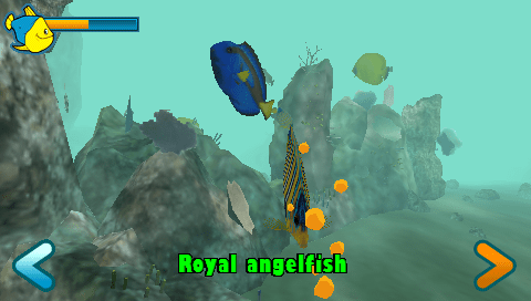 Reef Aquarium — ss (WOR)