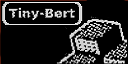 Tiny-Bert — sstitle (WOR)