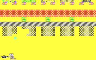 Tennis-Cat — ss (WOR)