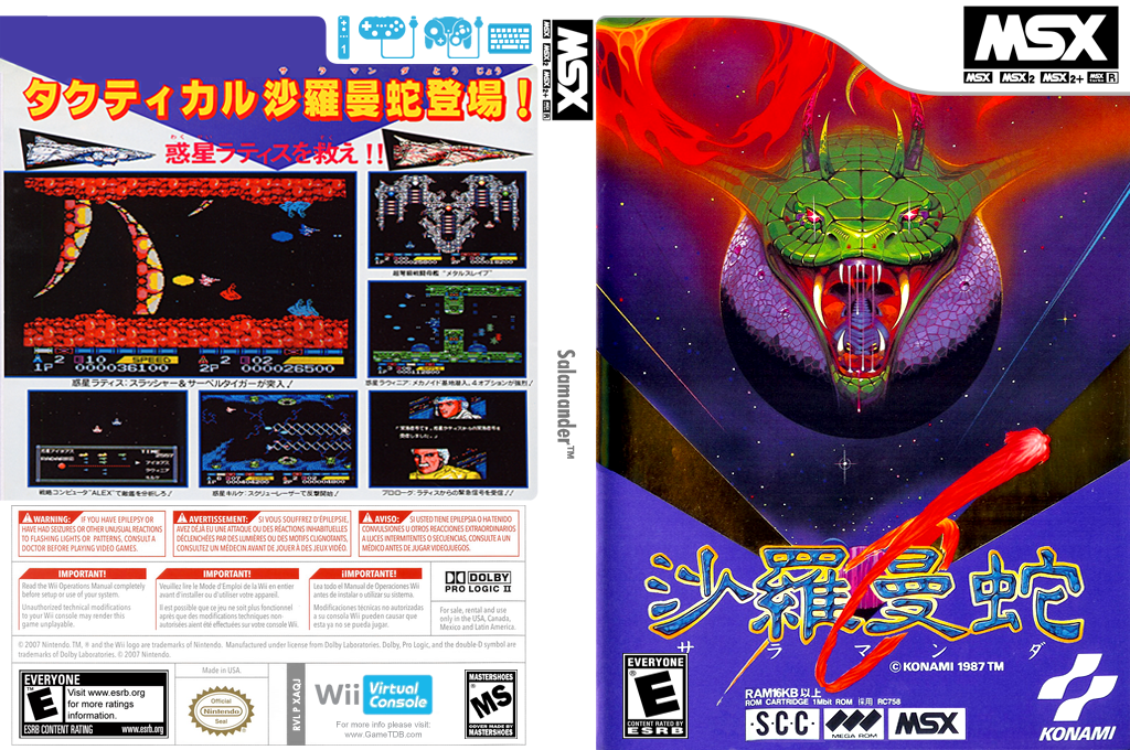Salamander — box-texture (JP)