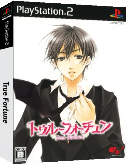 True Fortune — box-3D (JP)