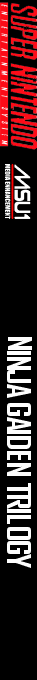 Ninja Gaiden Trilogy — box-2D-side (US)