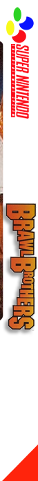 Brawl Brothers — box-2D-side (FR)