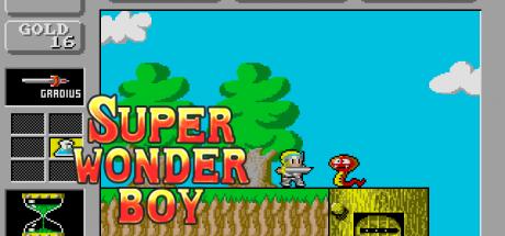 Super Wonder Boy in Monster Land — steamgrid