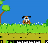 Nes Conversion - Duck Hunt — ss (WOR)