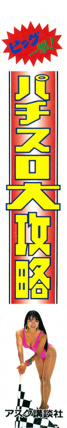 Big Ichigeki! Pachi-slot Daikouryaku — box-2D-side (JP)