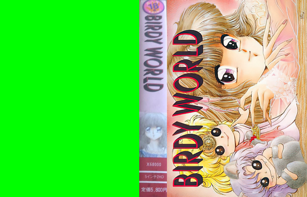 Birdy World — box-texture (JP)