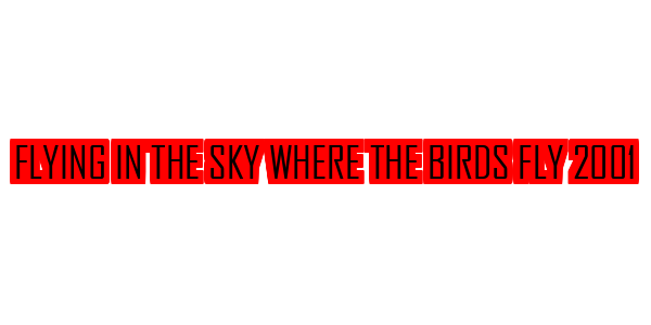 Flying In The Sky Where The Birds Fly 2001 — wheel-hd (SS)