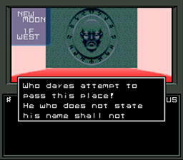 Shin Megami Tensei — ss (WOR)