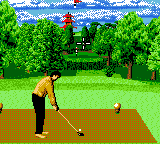 Ernie Els Golf — ss (EU)