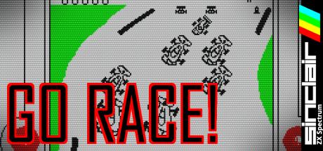 Go Race! — steamgrid