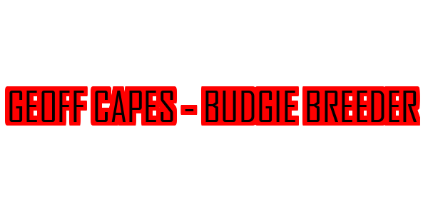 Geoff Capes - Budgie Breeder — wheel-hd (SS)
