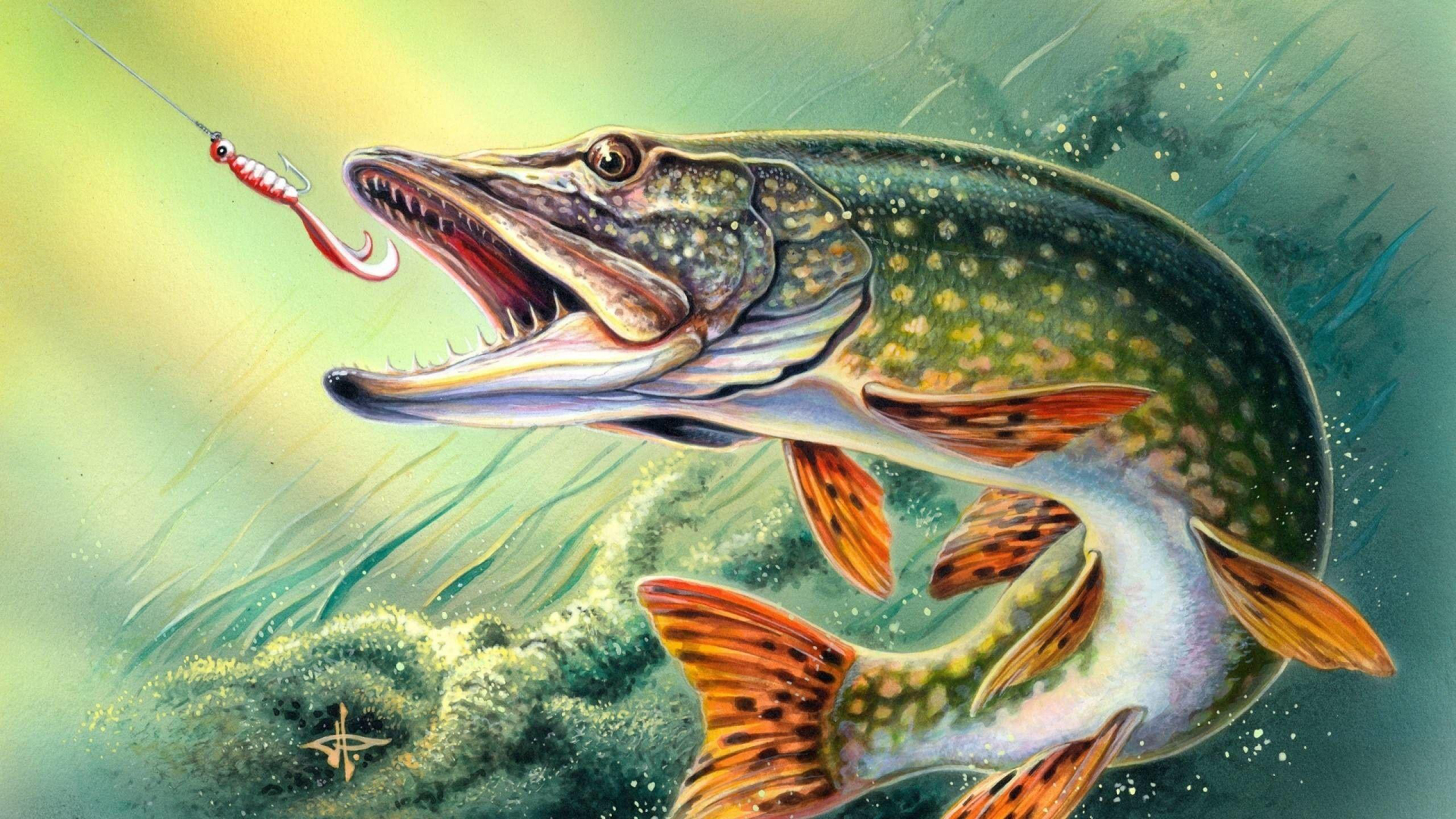 Rapala Pro Bass Fishing — fanart