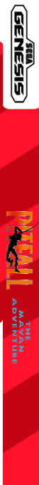 Pitfall : The Mayan Adventure — box-2D-side (US)