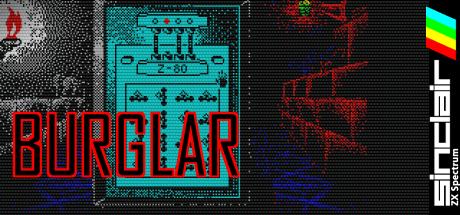 Burglar — steamgrid