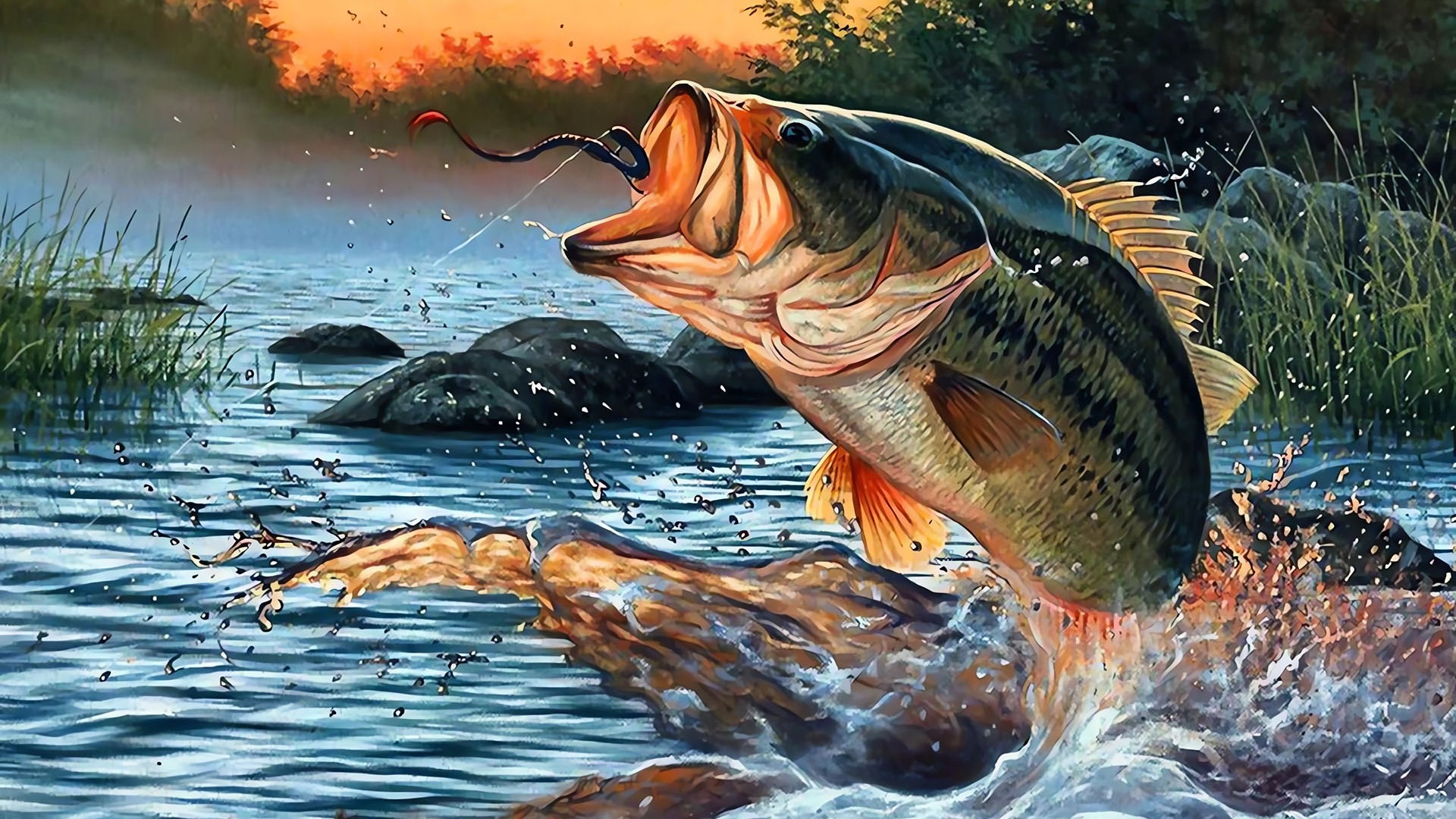 Fishing Koushien — fanart