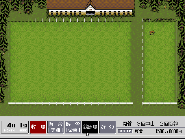 Derby Stallion — ss (JP)