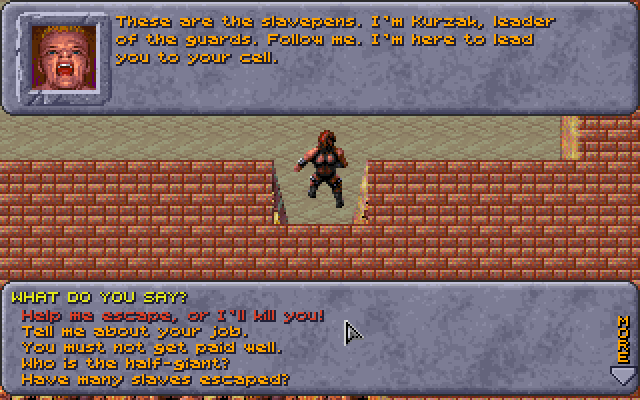 Dark Sun - Shattered Lands — ss (WOR)