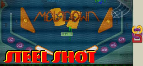 Steel Shot — steamgrid